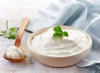 罗伊氏乳杆菌在酸奶中的应用