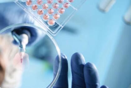 罗伊氏乳杆菌在人和动物抗病作用中的研究