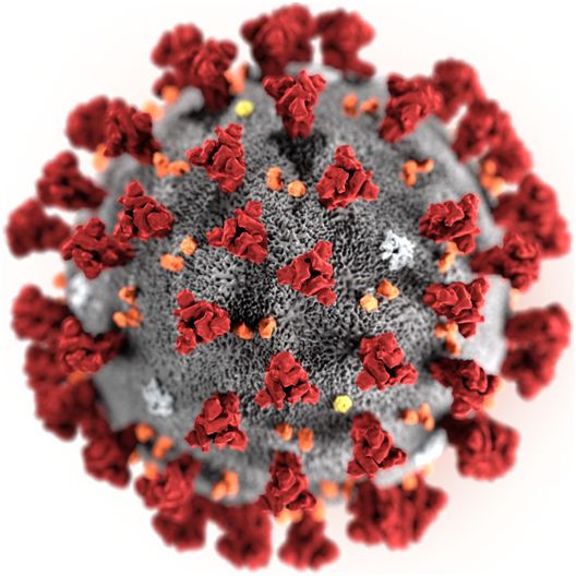 德国科学家发现症状较轻的患者也能够传播新型冠状病毒2019-nCoV